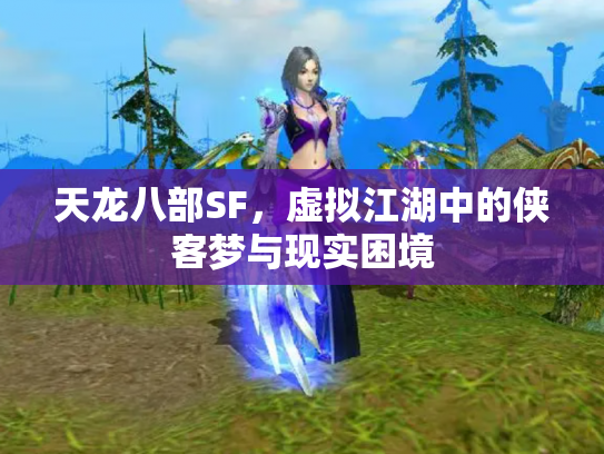 天龙八部SF，虚拟江湖中的侠客梦与现实困境