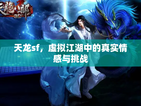 天龙sf，虚拟江湖中的真实情感与挑战