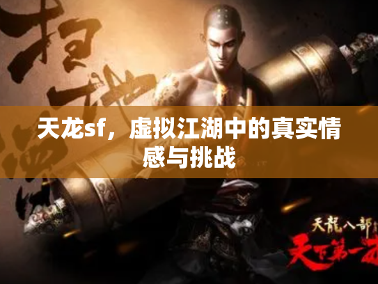 天龙sf，虚拟江湖中的真实情感与挑战