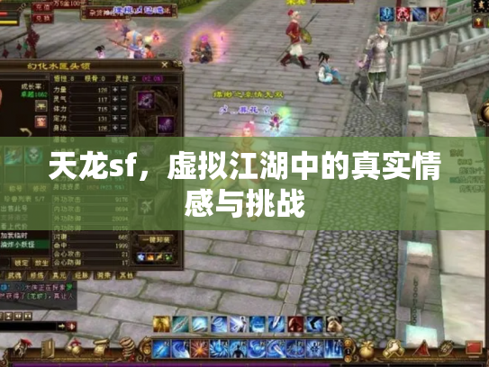 天龙sf，虚拟江湖中的真实情感与挑战