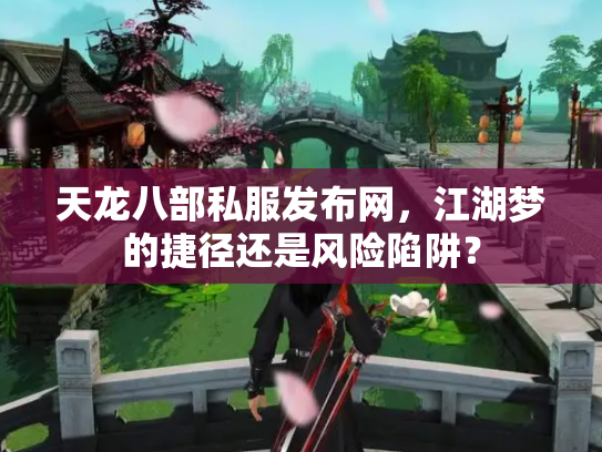 天龙八部私服发布网，江湖梦的捷径还是风险陷阱？