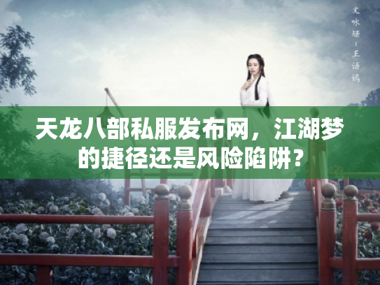 天龙八部私服发布网，江湖梦的捷径还是风险陷阱？
