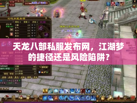 天龙八部私服发布网，江湖梦的捷径还是风险陷阱？