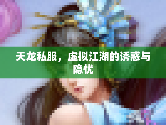 天龙私服，虚拟江湖的诱惑与隐忧