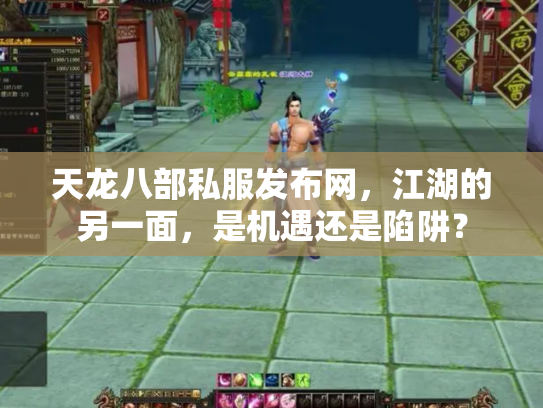 天龙八部私服发布网，江湖的另一面，是机遇还是陷阱？