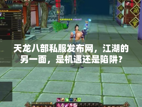 天龙八部私服发布网，江湖的另一面，是机遇还是陷阱？
