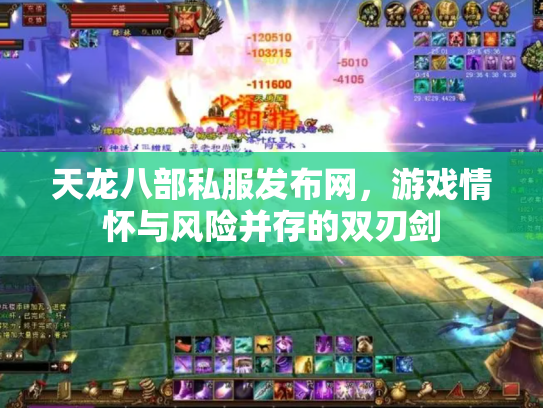天龙八部私服发布网，游戏情怀与风险并存的双刃剑