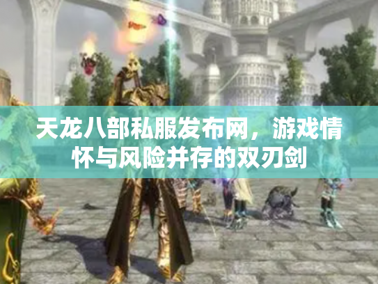天龙八部私服发布网，游戏情怀与风险并存的双刃剑