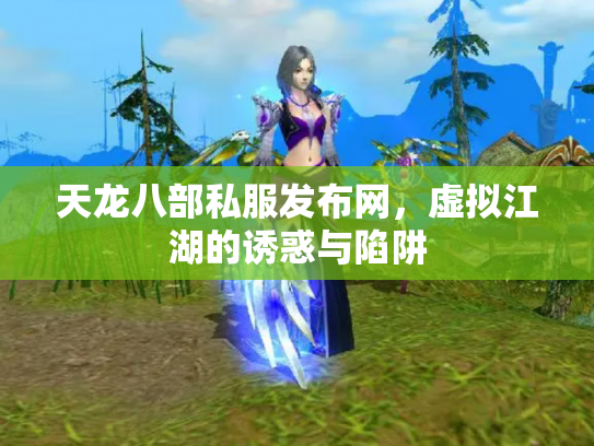 天龙八部私服发布网，虚拟江湖的诱惑与陷阱
