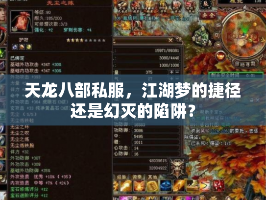 天龙八部私服，江湖梦的捷径还是幻灭的陷阱？