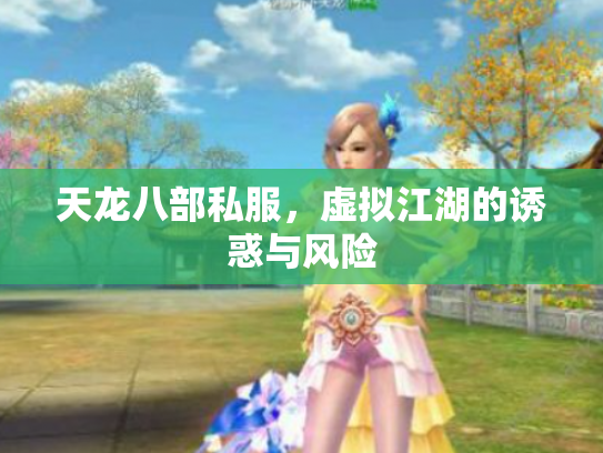 天龙八部私服，虚拟江湖的诱惑与风险