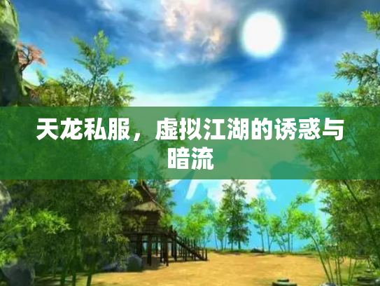 天龙私服，虚拟江湖的诱惑与暗流