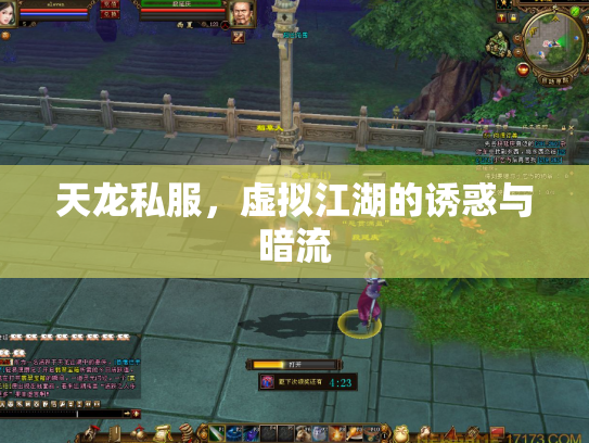 天龙私服，虚拟江湖的诱惑与暗流