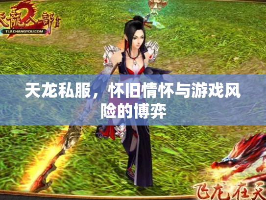 天龙私服，怀旧情怀与游戏风险的博弈