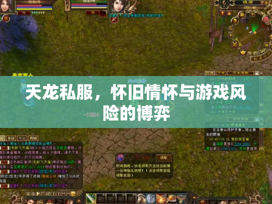 天龙私服，怀旧情怀与游戏风险的博弈