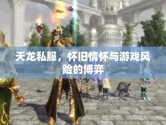天龙私服，怀旧情怀与游戏风险的博弈