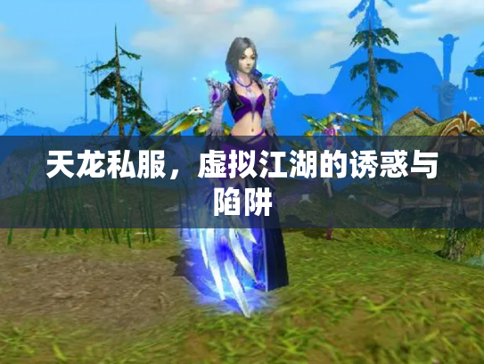 天龙私服，虚拟江湖的诱惑与陷阱