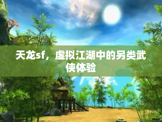 天龙sf，虚拟江湖中的另类武侠体验