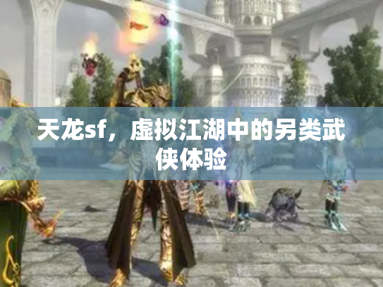 天龙sf，虚拟江湖中的另类武侠体验