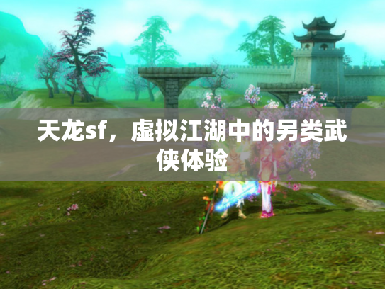 天龙sf，虚拟江湖中的另类武侠体验
