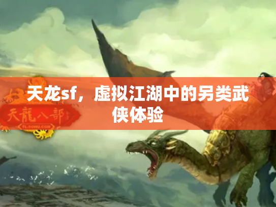 天龙sf，虚拟江湖中的另类武侠体验