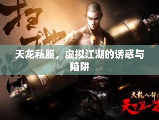 天龙私服，虚拟江湖的诱惑与陷阱