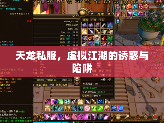 天龙私服，虚拟江湖的诱惑与陷阱