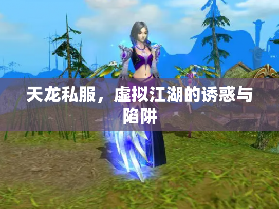 天龙私服，虚拟江湖的诱惑与陷阱