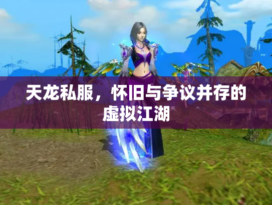 天龙私服，怀旧与争议并存的虚拟江湖