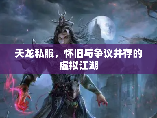 天龙私服，怀旧与争议并存的虚拟江湖