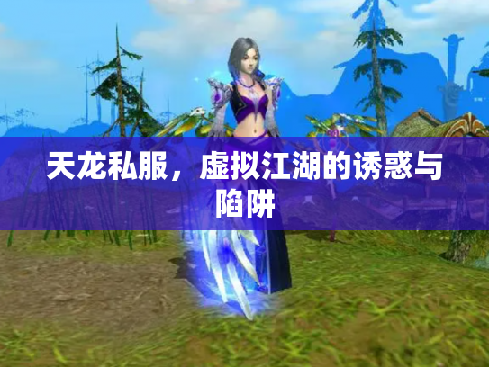 天龙私服，虚拟江湖的诱惑与陷阱