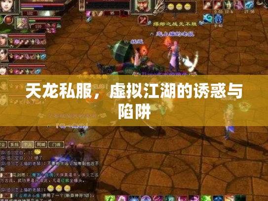 天龙私服，虚拟江湖的诱惑与陷阱