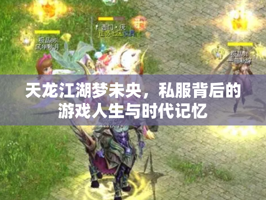 天龙江湖梦未央，私服背后的游戏人生与时代记忆