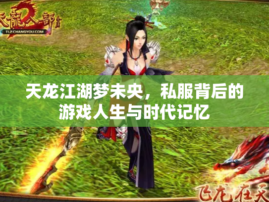 天龙江湖梦未央，私服背后的游戏人生与时代记忆