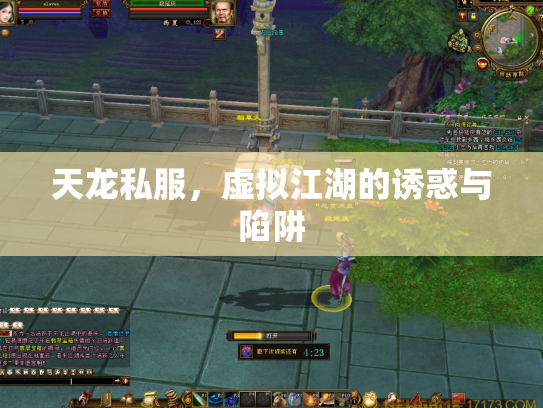天龙私服，虚拟江湖的诱惑与陷阱