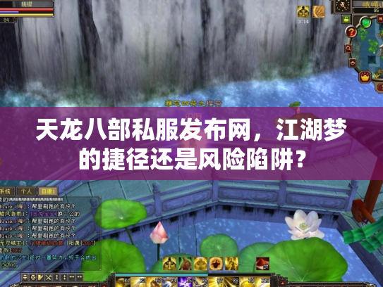 天龙八部私服发布网，江湖梦的捷径还是风险陷阱？