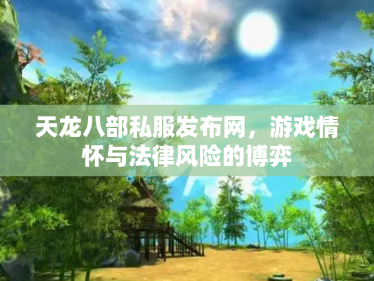 天龙八部私服发布网，游戏情怀与法律风险的博弈