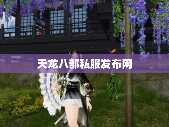 天龙八部私服发布网