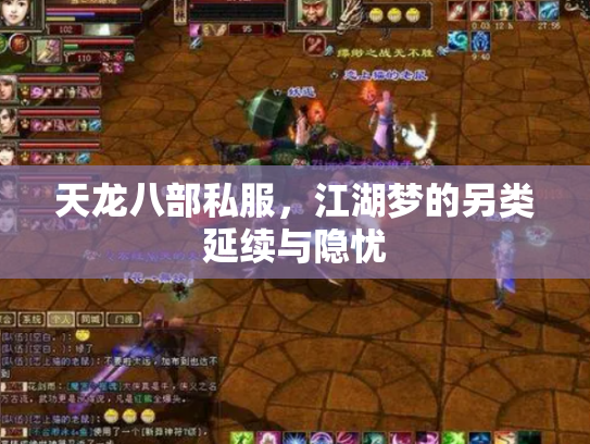 天龙八部私服，江湖梦的另类延续与隐忧