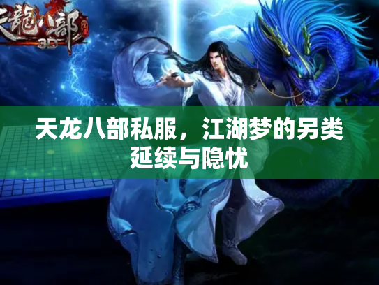 天龙八部私服，江湖梦的另类延续与隐忧