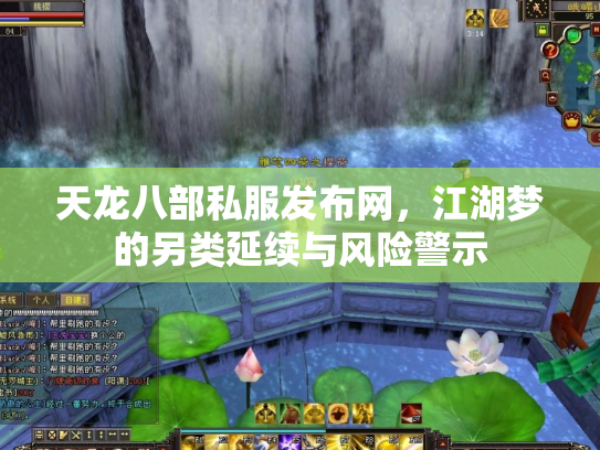 天龙八部私服发布网，江湖梦的另类延续与风险警示