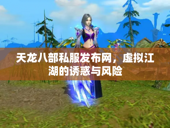 天龙八部私服发布网，虚拟江湖的诱惑与风险