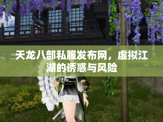 天龙八部私服发布网，虚拟江湖的诱惑与风险