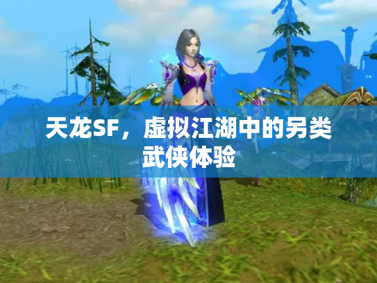 天龙SF，虚拟江湖中的另类武侠体验