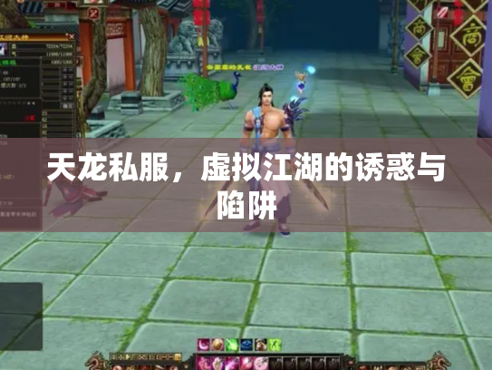 天龙私服，虚拟江湖的诱惑与陷阱