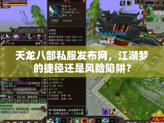 天龙八部私服发布网，江湖梦的捷径还是风险陷阱？