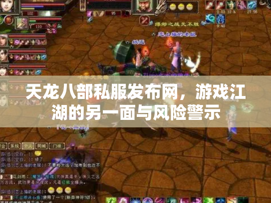 天龙八部私服发布网，游戏江湖的另一面与风险警示