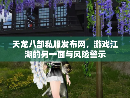 天龙八部私服发布网，游戏江湖的另一面与风险警示