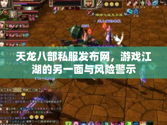 天龙八部私服发布网，游戏江湖的另一面与风险警示