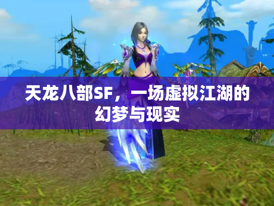 天龙八部SF，一场虚拟江湖的幻梦与现实